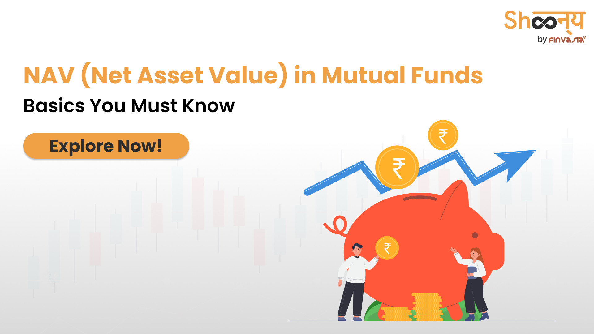 Net Asset Value
